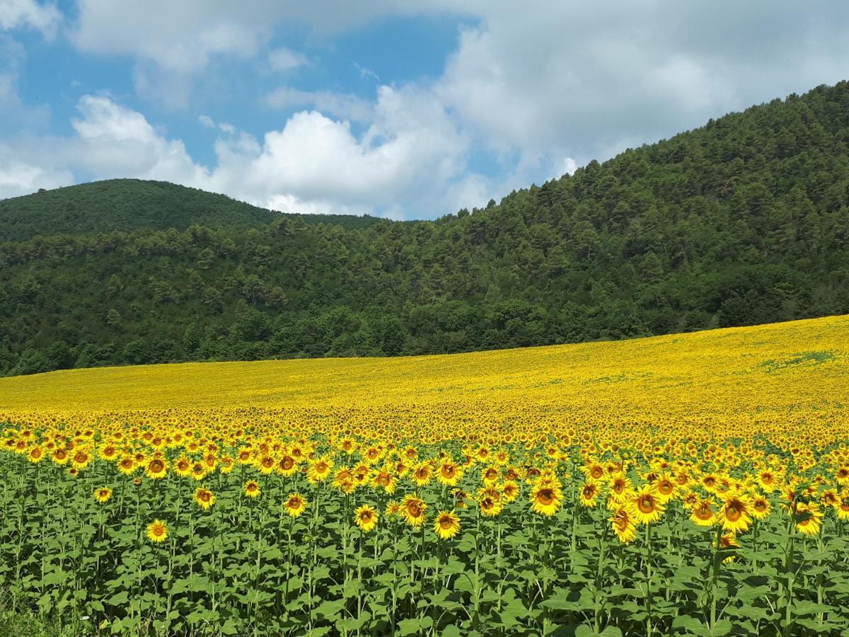 Il Girasole Del Lago Пьедилуко Экстерьер фото